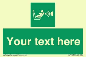 Custom safe condition child seat presence orientation detection system